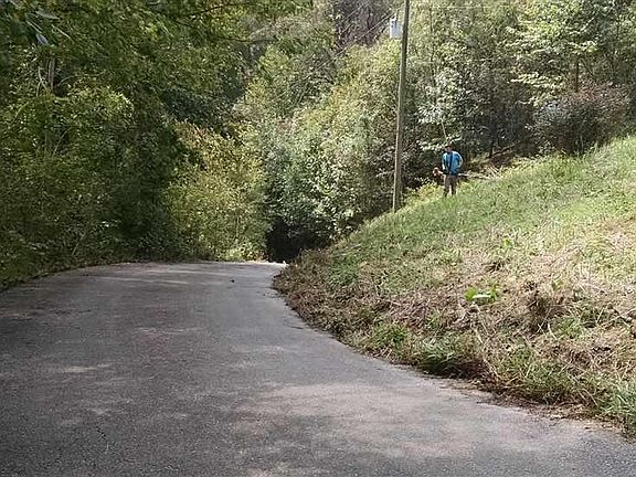 3rd image of 1101 Deer Trail Way
