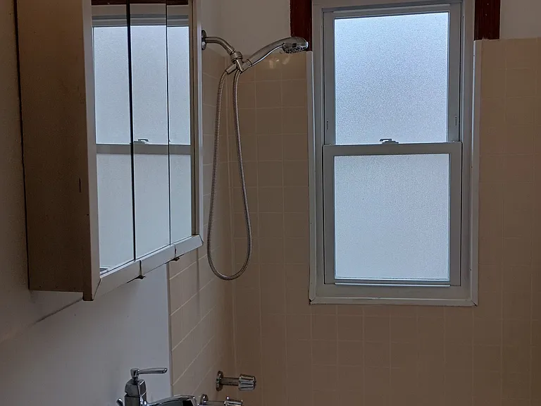 4 Carroll St #2B — Photo 7