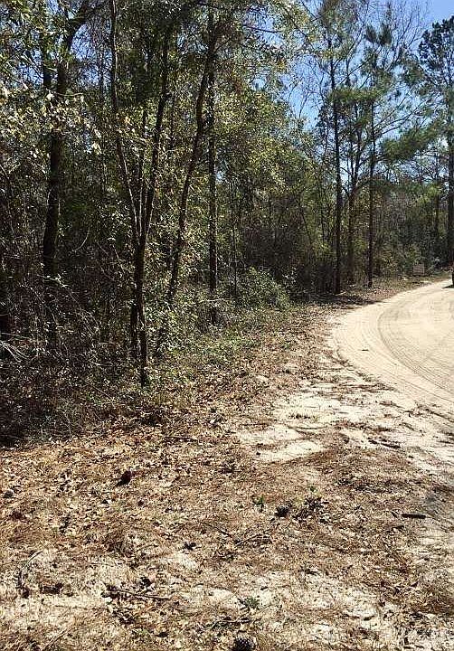 1st image of 334 Lost Creek Ln