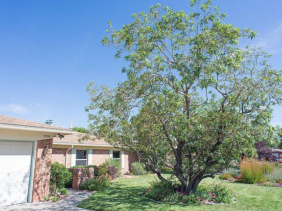 3rd image of 9709 Avenida Del Oso NE