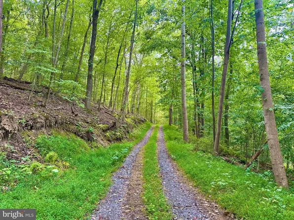 39 A 14 John Mosby Hwy, Boyce, VA 22620