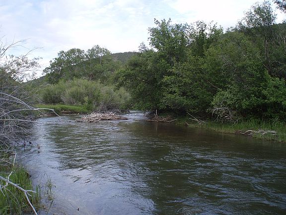 Looking downstream on lot