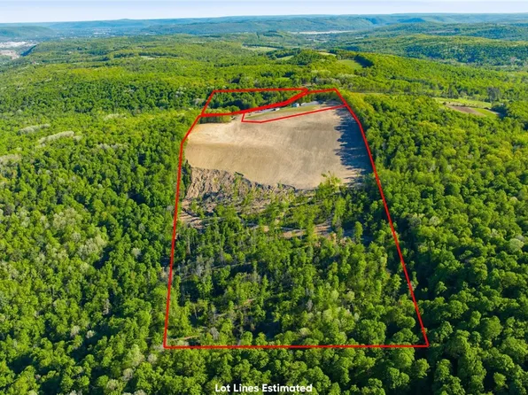 183 Dunn Rd Lot 21, Beaver Dams, NY 14812