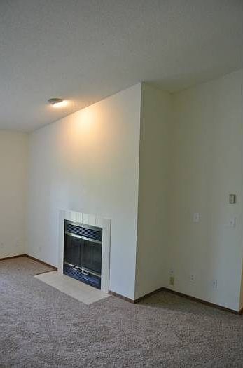 Evergreen Fireplace