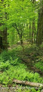 Tbd Sydney Street, Kerhonkson, NY, 12446
