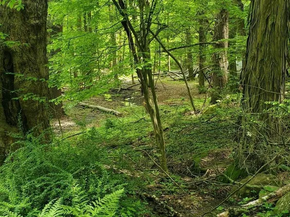 Tbd Sydney Street, Kerhonkson, NY 12446