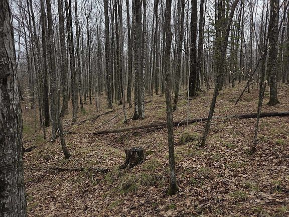 4th image of County Road K
