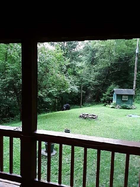 2nd image of 4296 Leetonia Rd