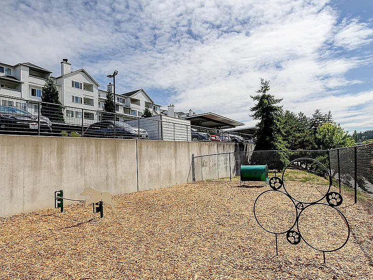 Castle Creek — Photo 7