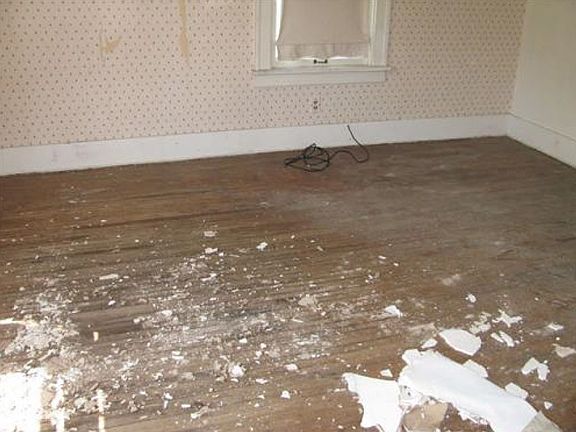 5th image of 56 N Ivan Ave