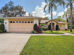 12026 Sapphire Dr, Spring Hill, FL 34609