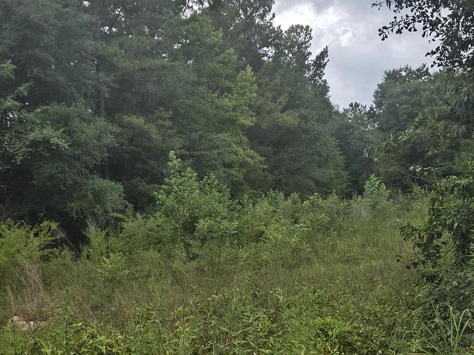 2nd image of LOT 2 Rodenberry Rd