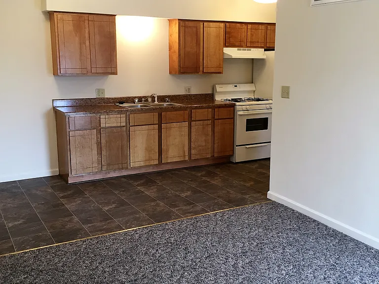 424 W Mount Vernon St #3 — Photo 6