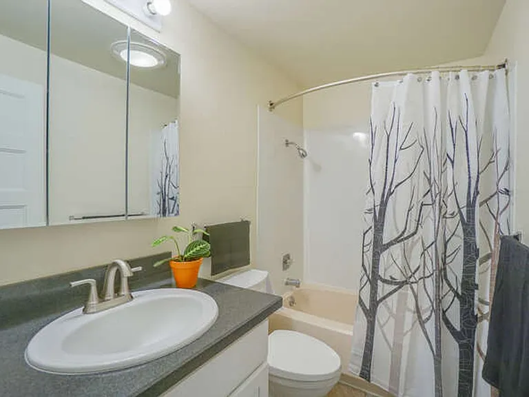 Sussex Village Apartments — Photo 9