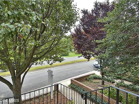 Street View from Front Porch