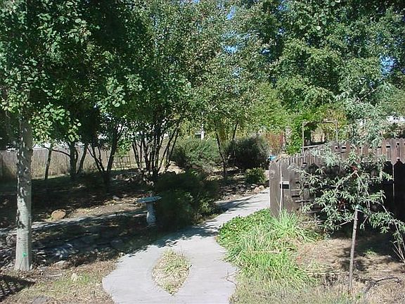Front yard