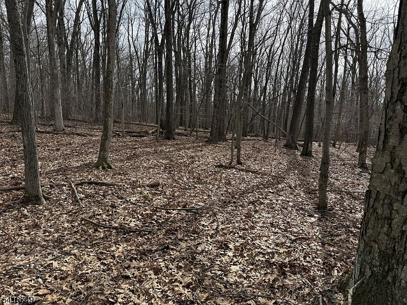 1st image of 162 North Rd