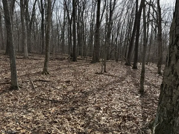 162 North Rd, Chester Twp., NJ 07930