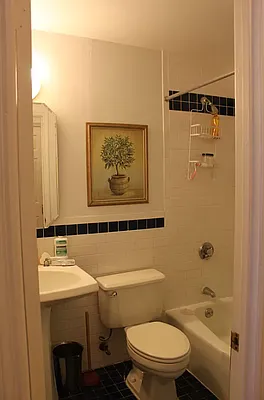 Rented by Furumoto Realty of New York City Inc | media 22