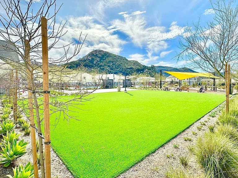 34746 Criollo Way — Photo 48