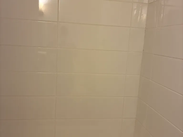 409 Halsey St #2 — Photo 6