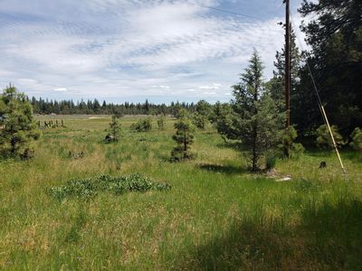 Mahogany Way, Lookout, CA, 96054