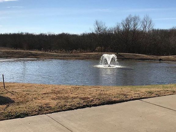 community pond
