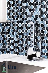 Rented by Lisa Management Inc