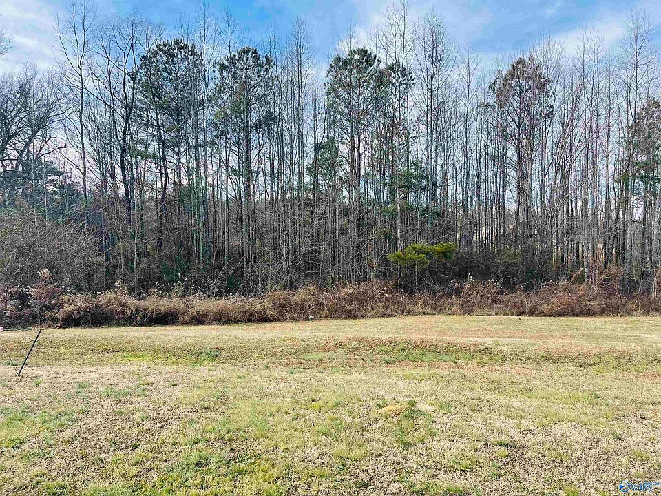 2nd image of 221 Mark Whitt Rd