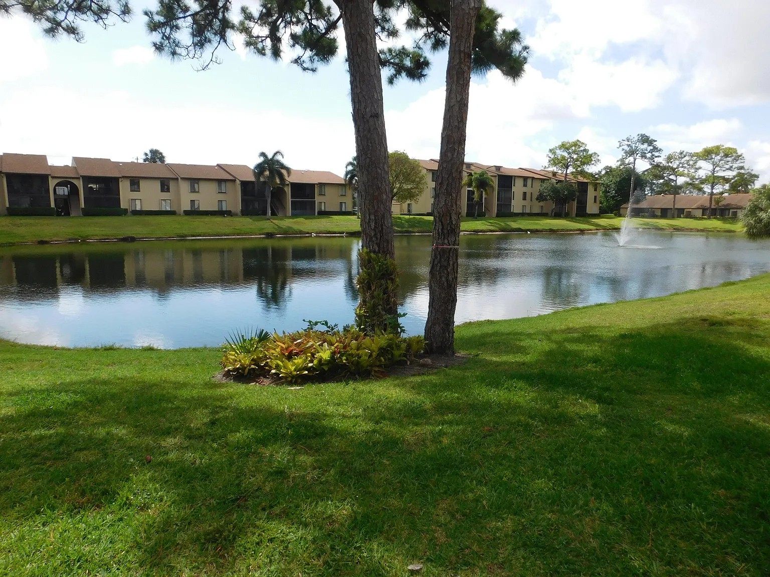 2 bed, 2.0 bath, 1005 sqft, $2,400 — Photo 3