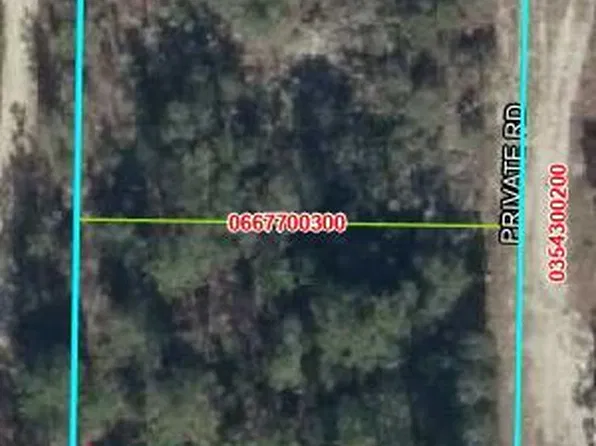 0 NE 67th St, Bronson, FL 32621