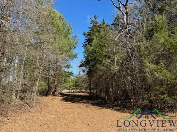 LOT 1 County Road 4365, Mount Pleasant, TX 75455