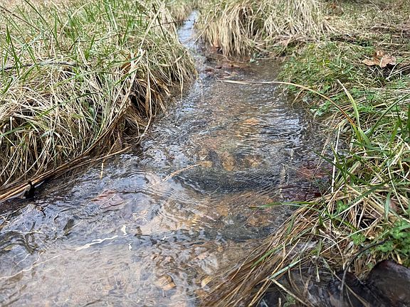 5th image of Red Bud Rd