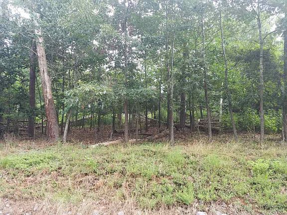 3rd image of 1918 Chelaque Way E