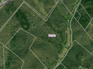 2345 White Pine Rd, Pliny, WV 25082