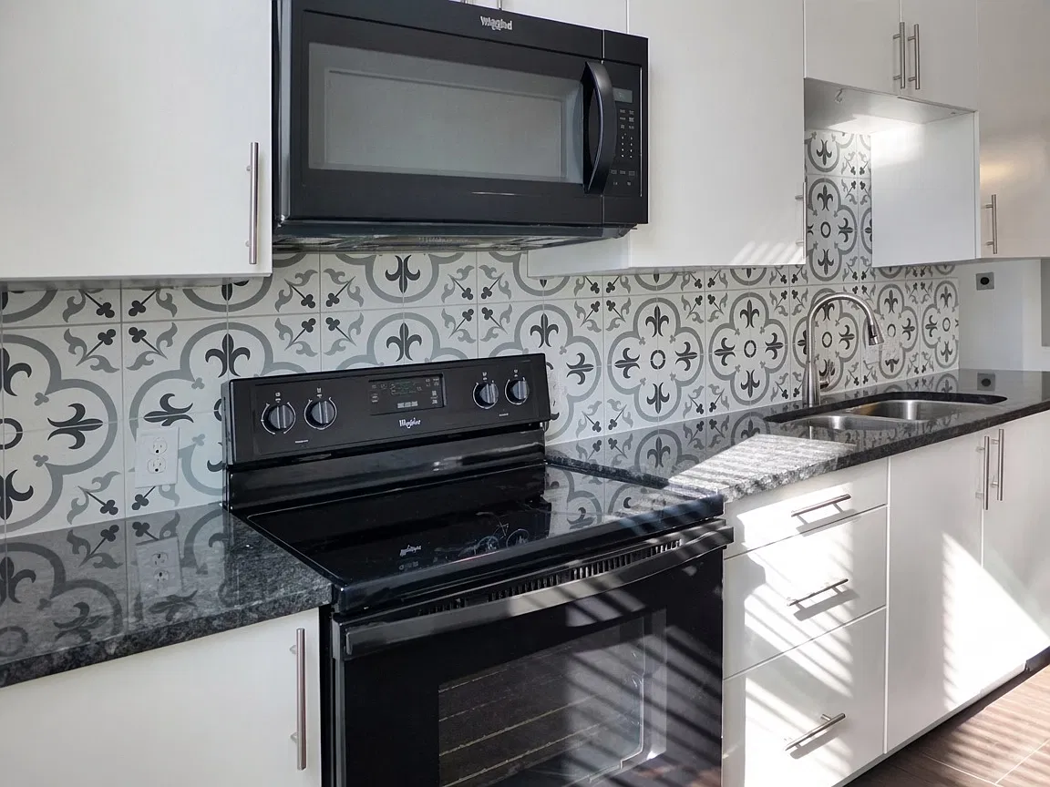 1 bed, 900 sqft, $1,100 — Photo 4