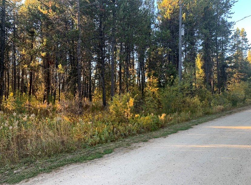 2nd image of 12881 Syringa Rd