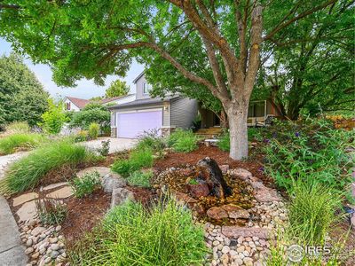713 Nelson Park Cir, Longmont, CO, 80503