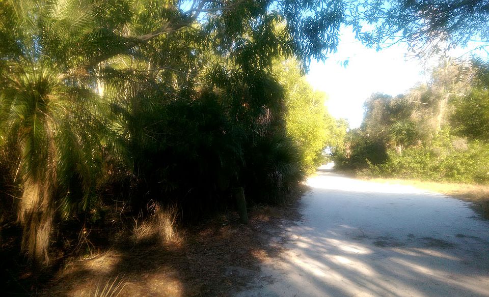 2nd image of 6183 Valeria Rd