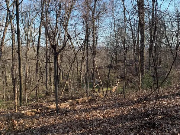 Walters Hatchery Rd, Spring Grove, PA 17362