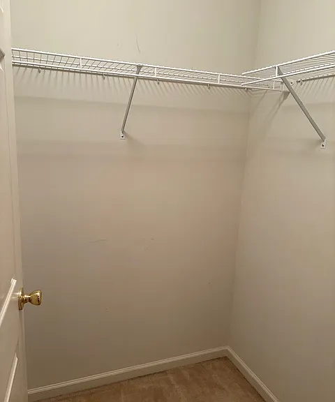 100 Christine Dr #100 — Photo 5