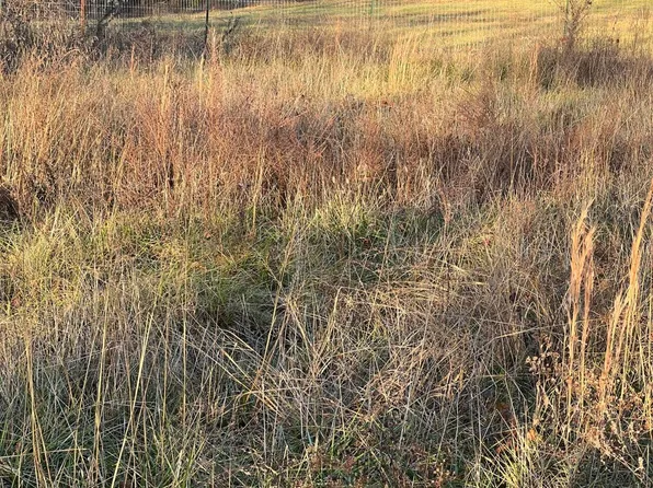 8189 Co Road #O-532, Ava, MO 65608