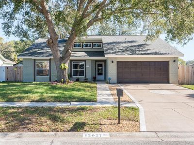 12027 Vermillion Way, Riverview, FL, 33569