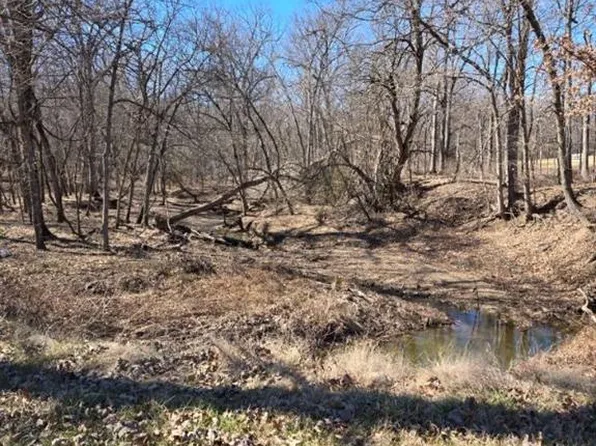 32719 S State Route 7, Creighton, MO 64739