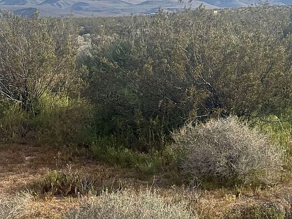 3rd image of Freeman Rd