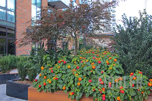 Rented by Fiddler Realty | media 112