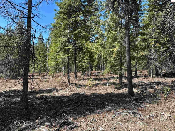 Nna Butler Creek Rd, Cocolalla, ID 83813