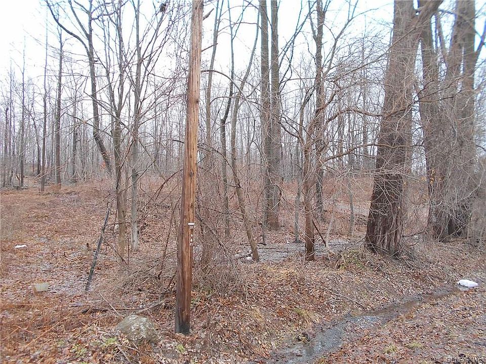 1st image of 2839 White Birch Ln