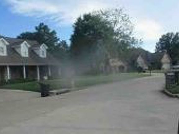Exterior Neighborhood (street photo)