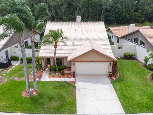 5560 Greyston St, Palm Harbor, FL 34685